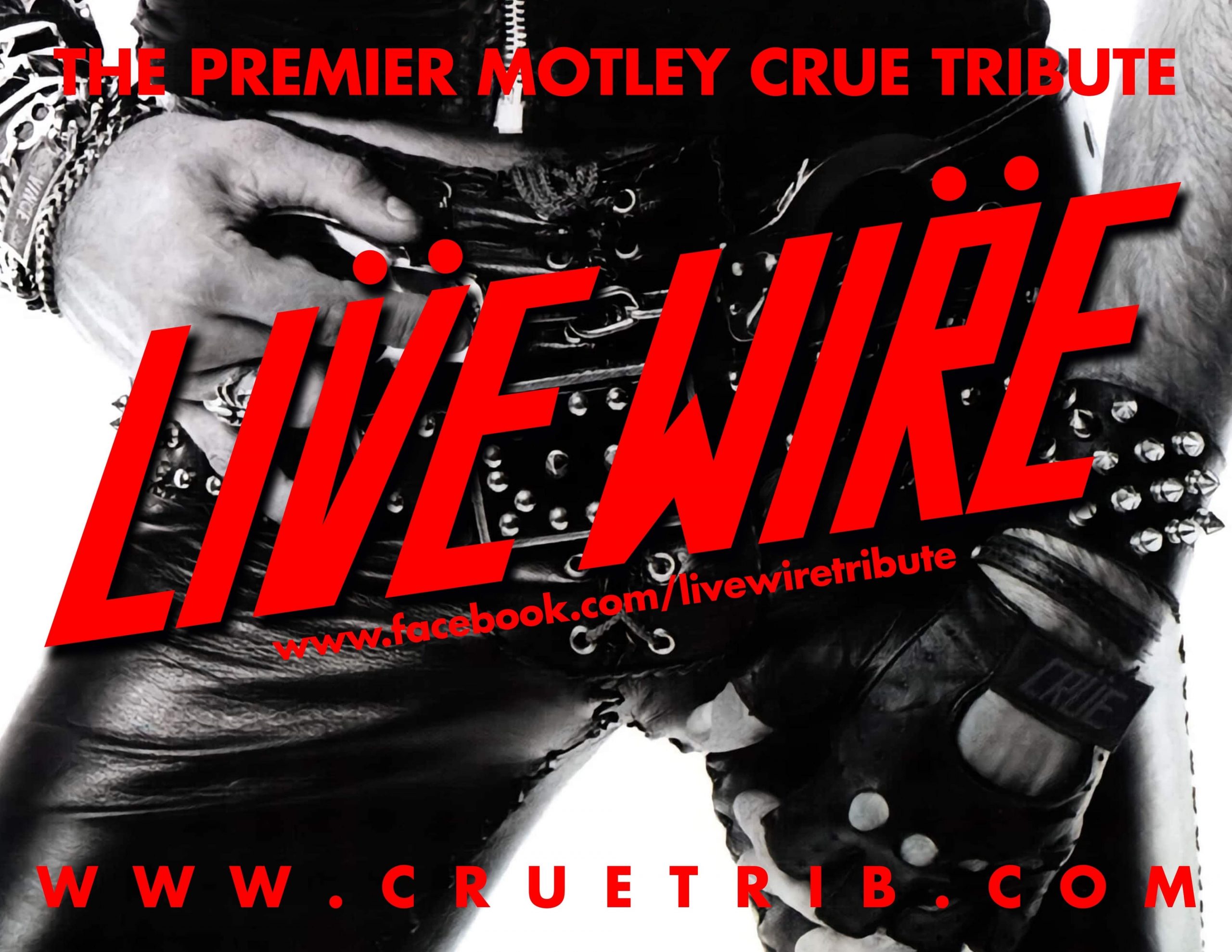 Live Wire Motley Crue Tribute